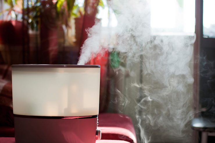 humidifier replacement gainesville